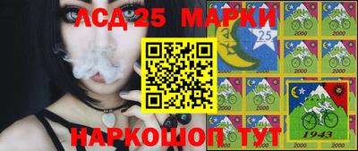 шишки Среднеуральск