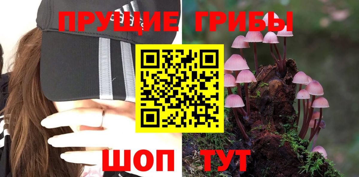 Галлюциногенные грибы Psilocybe  Галлюциногенные грибы ЛСД  Печора  Вход с VPN 